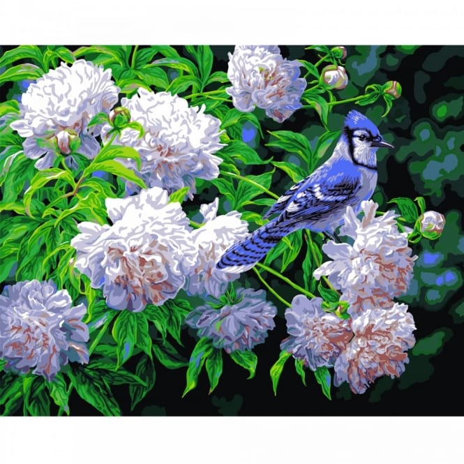 Plaid Plaid Blue Jay & Blossoms Paint by Number